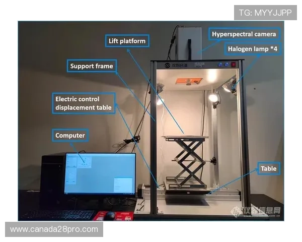 高动态范围成像算法在数字化升级阶段显著改善了复杂光影下的图像还原度